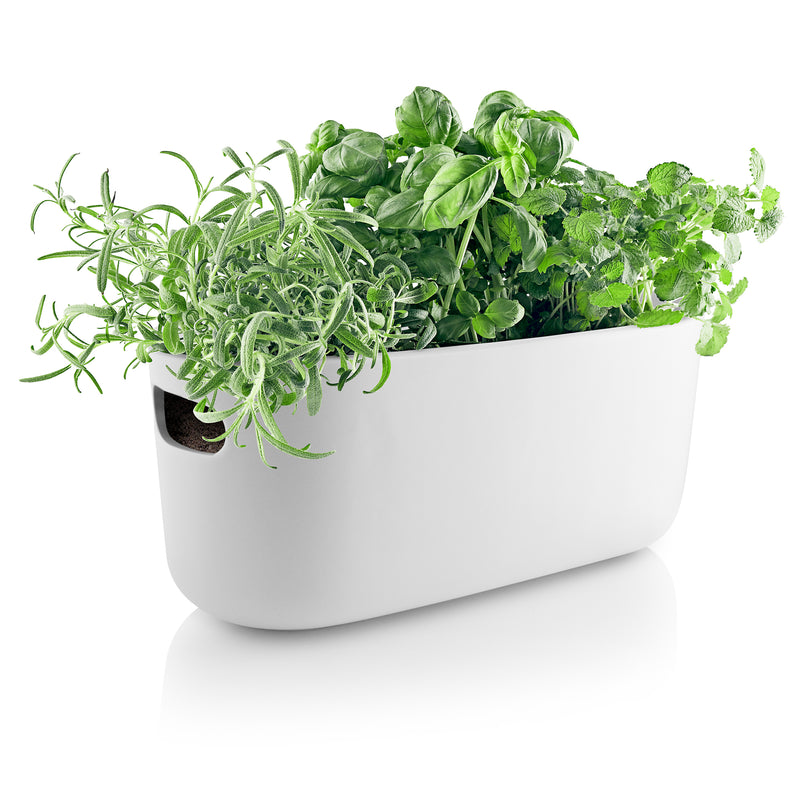 Eva Solo - Selbstbewässernder Herb-Organiser | weiß