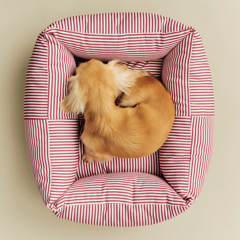 HAY - Dogs Hundebett | Zip / XS / rot/weiße Streifen