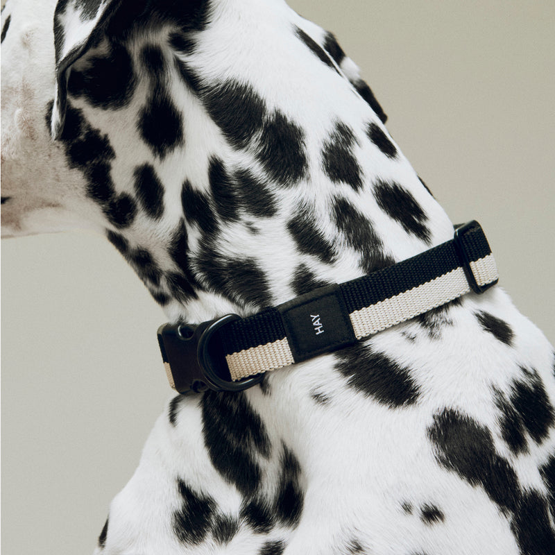 HAY - Dogs Hundehalsband | M/L / schwarz/weiß