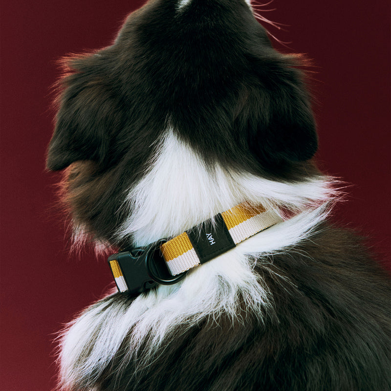 HAY - Dogs Hundehalsband | S/M / off-white/ochre