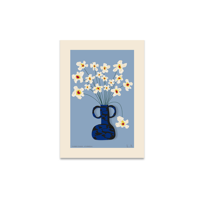 Paper Collective - Flower Studies 04 (Stjärnöga) Poster | 30 x 40 cm