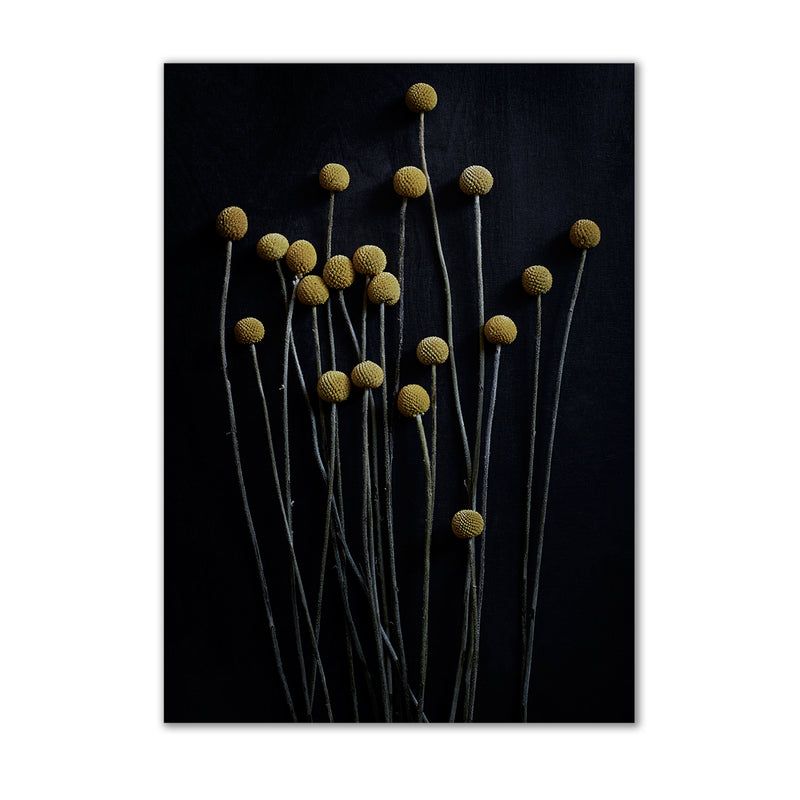 Paper Collective - Stillleben 01 (Yellow Drumstick) |
