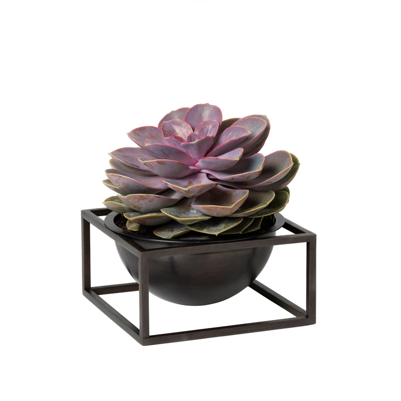 Audo - Kubus Bowl | Kubus Bowl Centerpieces / small / schwarz
