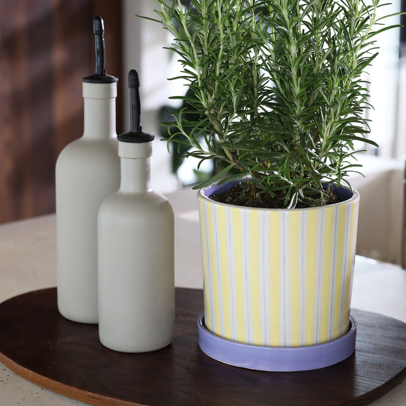&klevering - Ray Blumentopf | yellow/lila/white