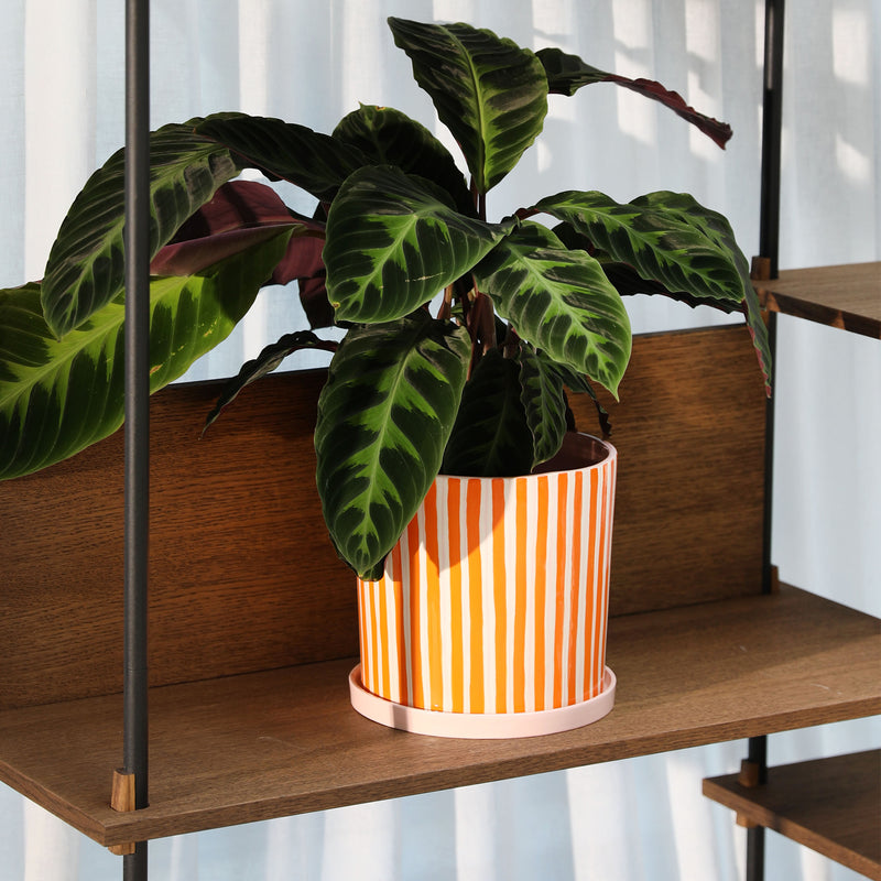 &klevering - Ray Blumentopf | orange/rose/white