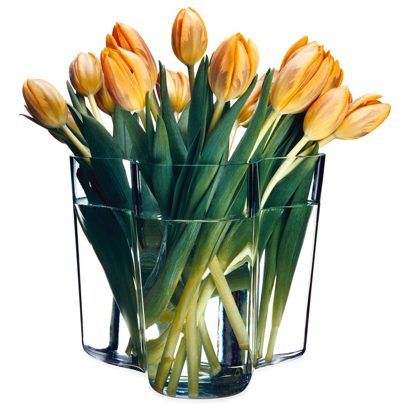 Iittala - Aalto Vase Savoy 120 mm