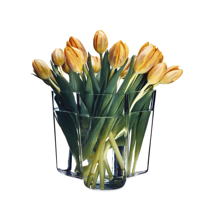 Iittala - Aalto Vasen Geschenkset