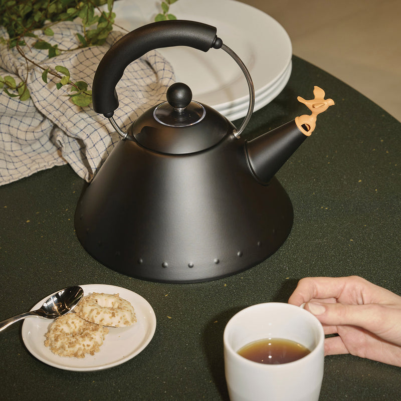 Alessi - 9093/1 Wasserkessel