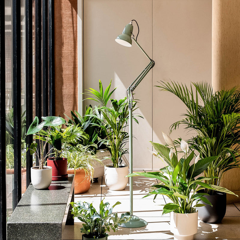 Anglepoise - Original 1227 Stehleuchte