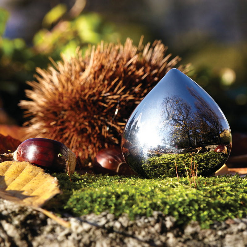 Alessi - Chestnut Pillendose