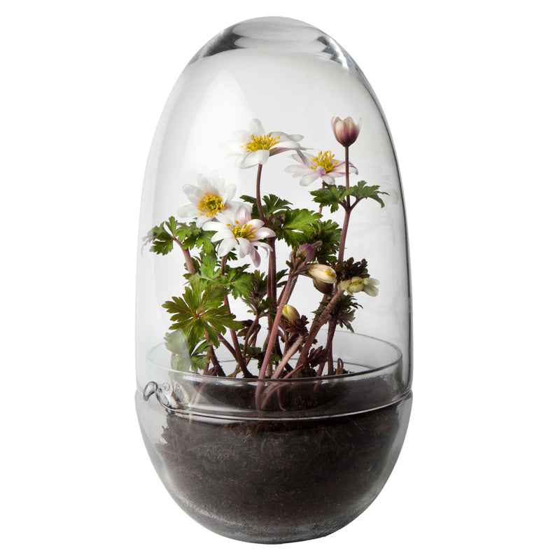 Design House Stockholm - Grow Gewächshaus | M