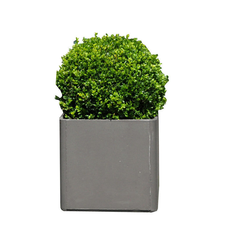Eternit - Delta Pflanzentopf - rechteckig | 60 x 45 x 45 cm / anthrazit