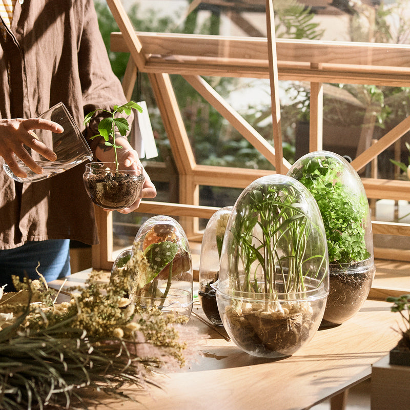 Design House Stockholm - Grow Gewächshaus