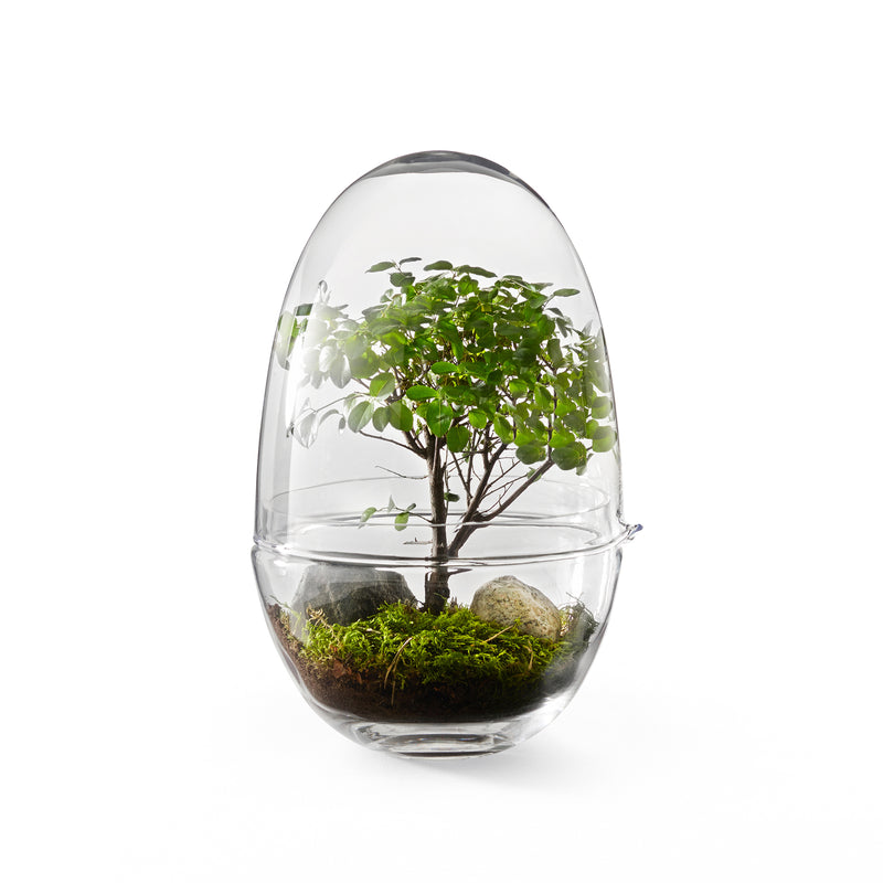 Design House Stockholm - Grow Gewächshaus