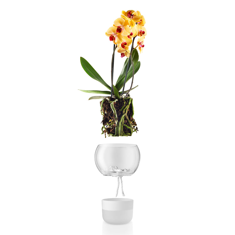 Eva Solo - Selbstbewässernder Orchideentopf