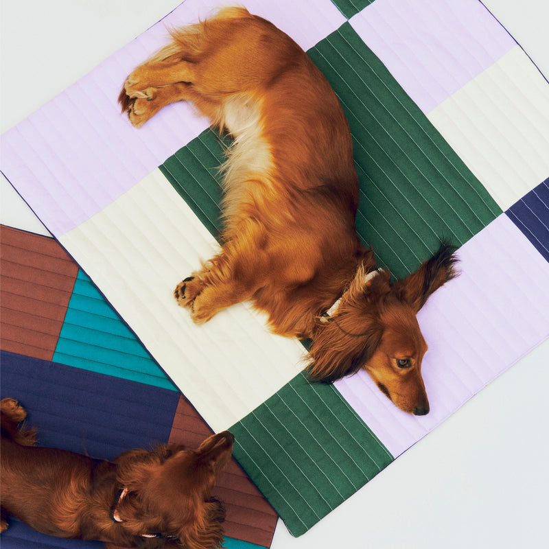 HAY - Dogs Reisedecke | lavender/green/blue