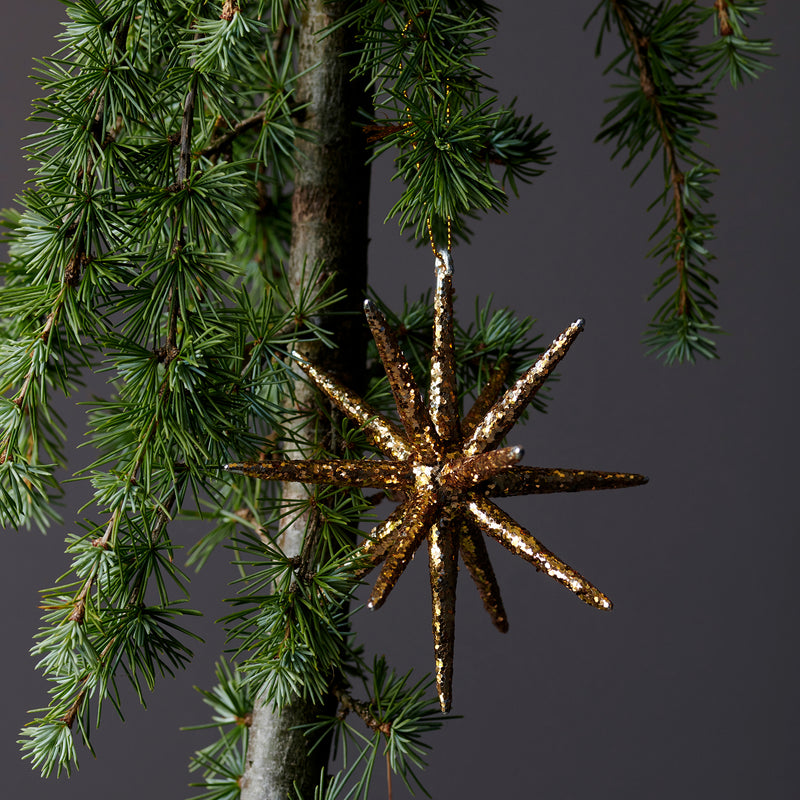 House Doctor - Spike Ornament
