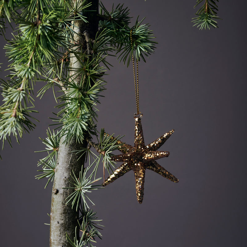 House Doctor - Spike Ornament