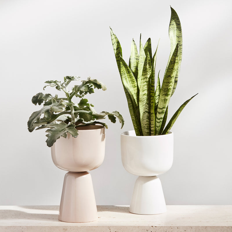Iittala - Nappula Blumentopf