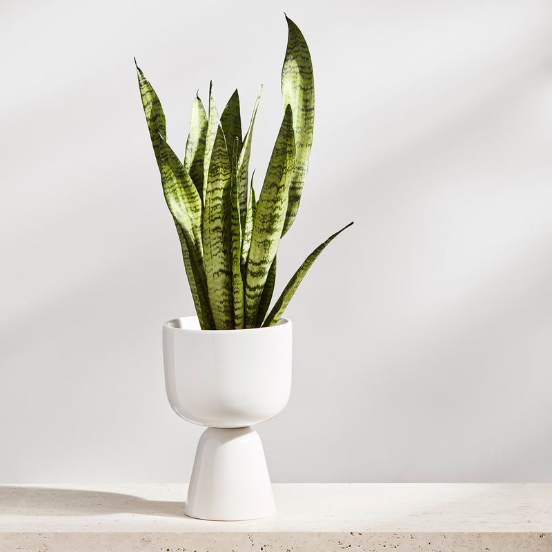 Iittala - Nappula Blumentopf | 230 x 155 mm / weiß