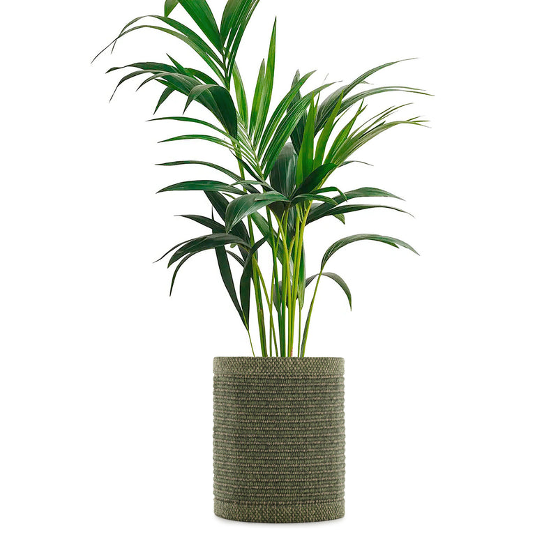 Kartell - Kleo Blumentopfüberzug