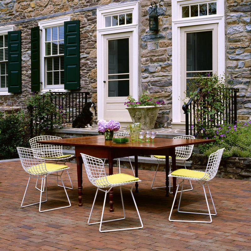 Knoll - Bertoia Stuhl