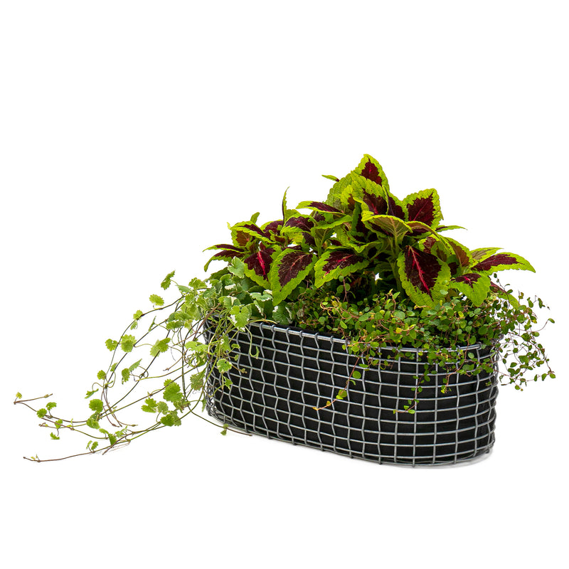 Korbo - Balcony Basket