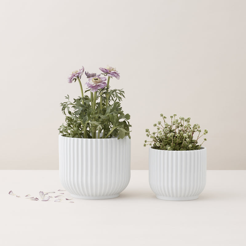 Lyngby Porcelæn - Blumentopf