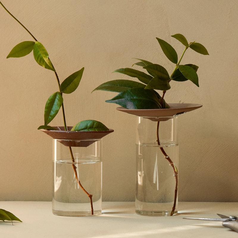 Audo - Cresco Propagation Vase