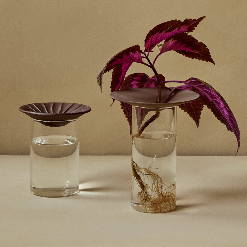 Audo - Cresco Propagation Vase