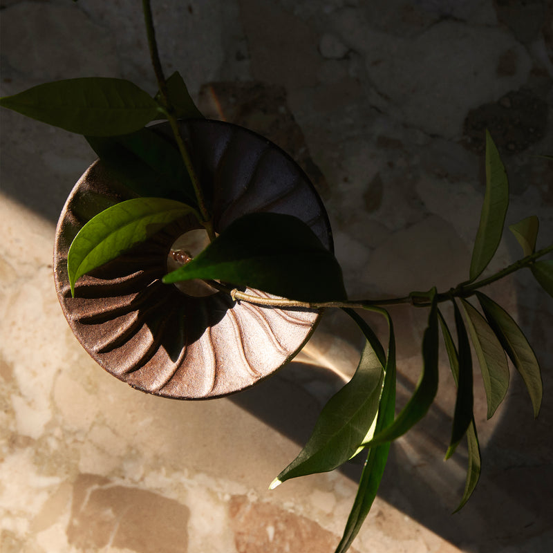 Audo - Cresco Propagation Vase