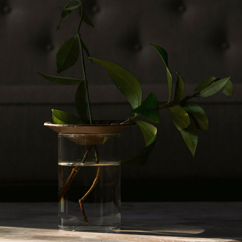 Audo - Cresco Propagation Vase