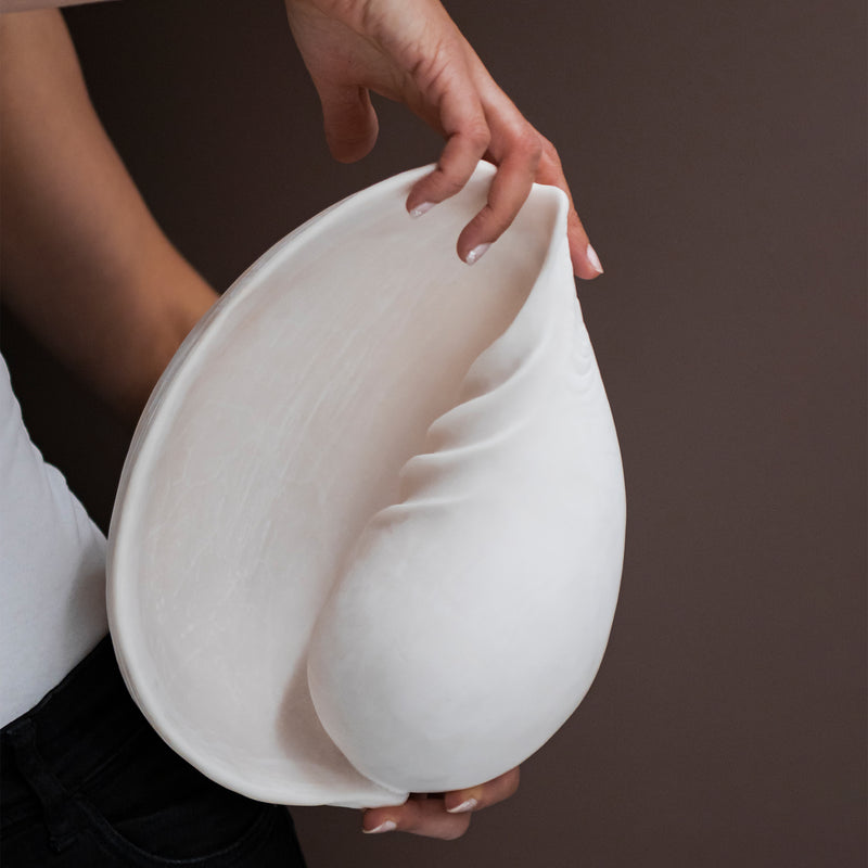 Mette Ditmer - Conch Muschel