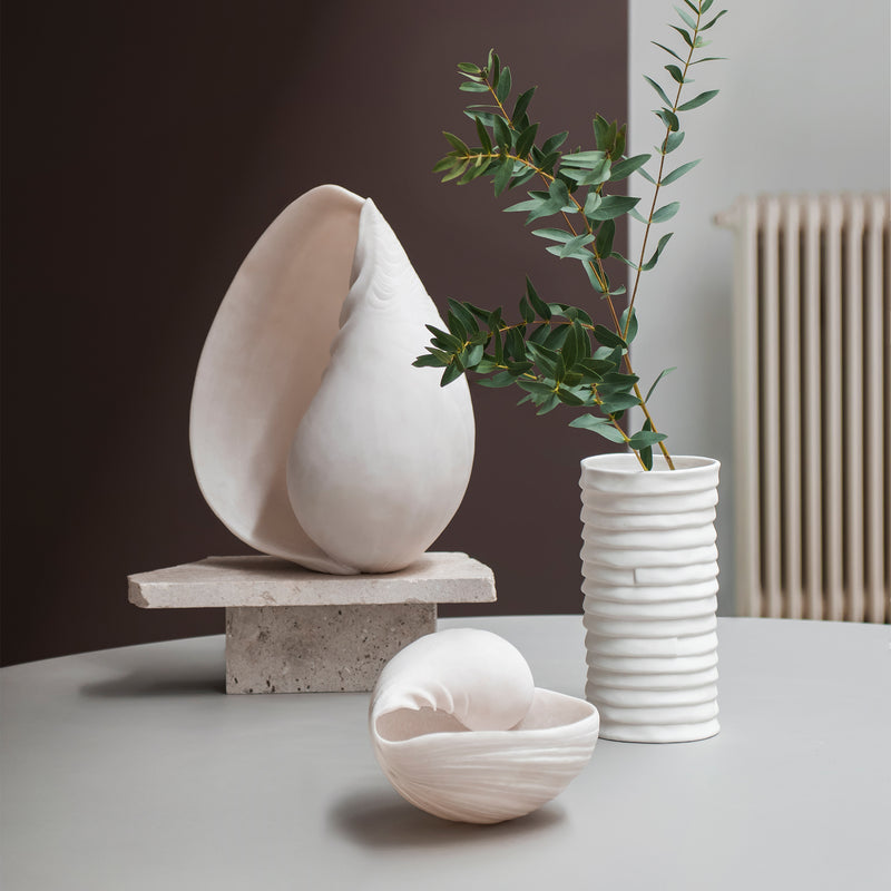 Mette Ditmer - Conch Muschel