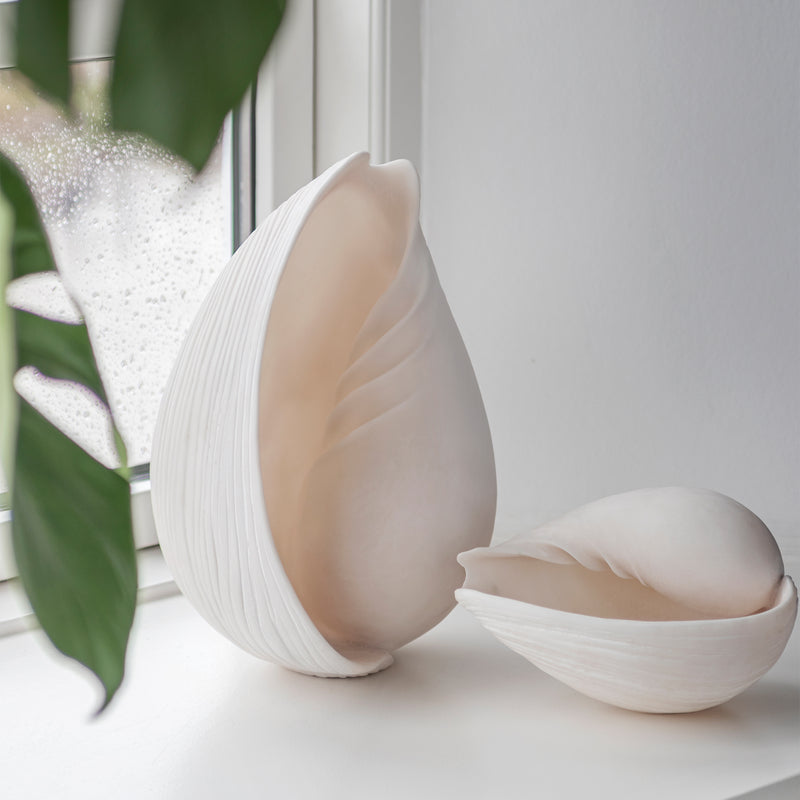 Mette Ditmer - Conch Muschel