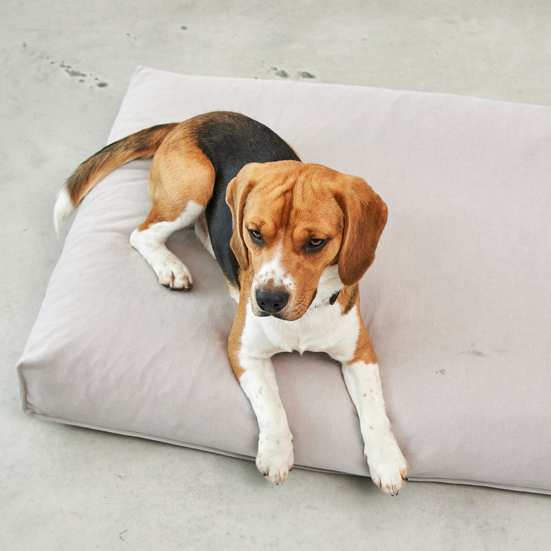 MiaCara - Comodo Hundekissen