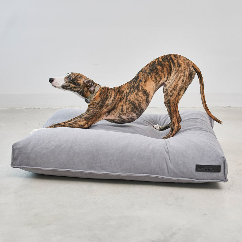 MiaCara - Comodo Hundekissen