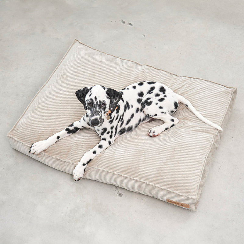MiaCara - Cordo Hundekissen