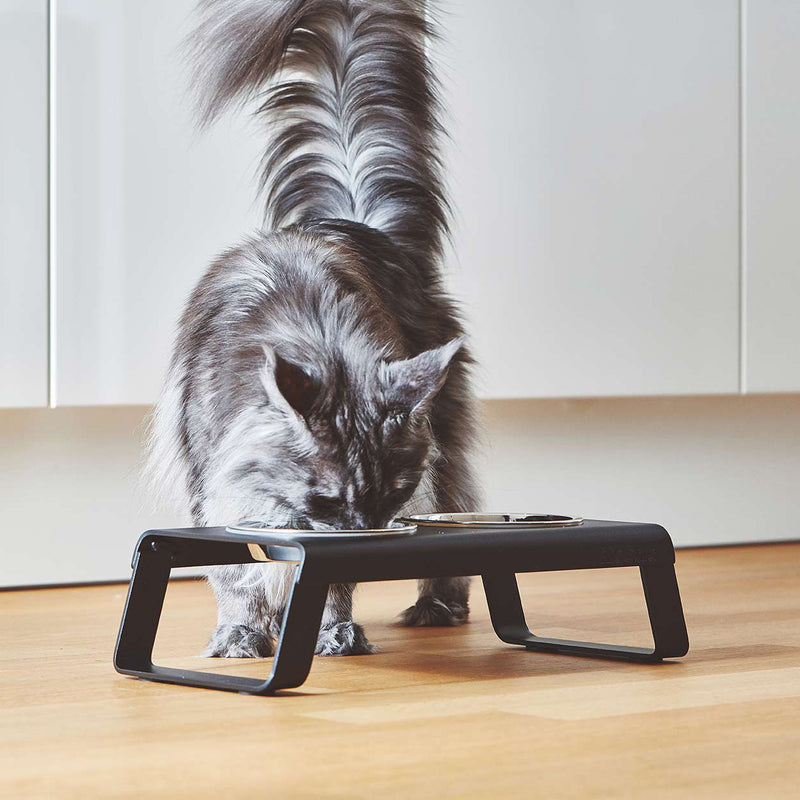 MiaCara - Desco Katzennapfständer mit Edelstahlnäpfen