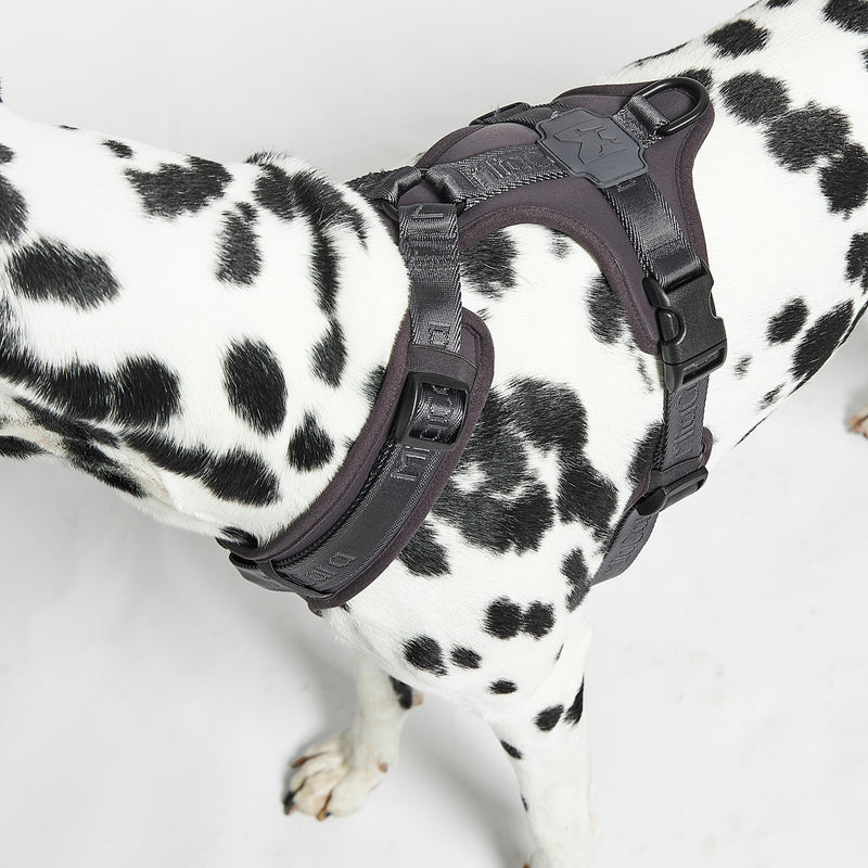 MiaCara - Modena Hundegeschirr