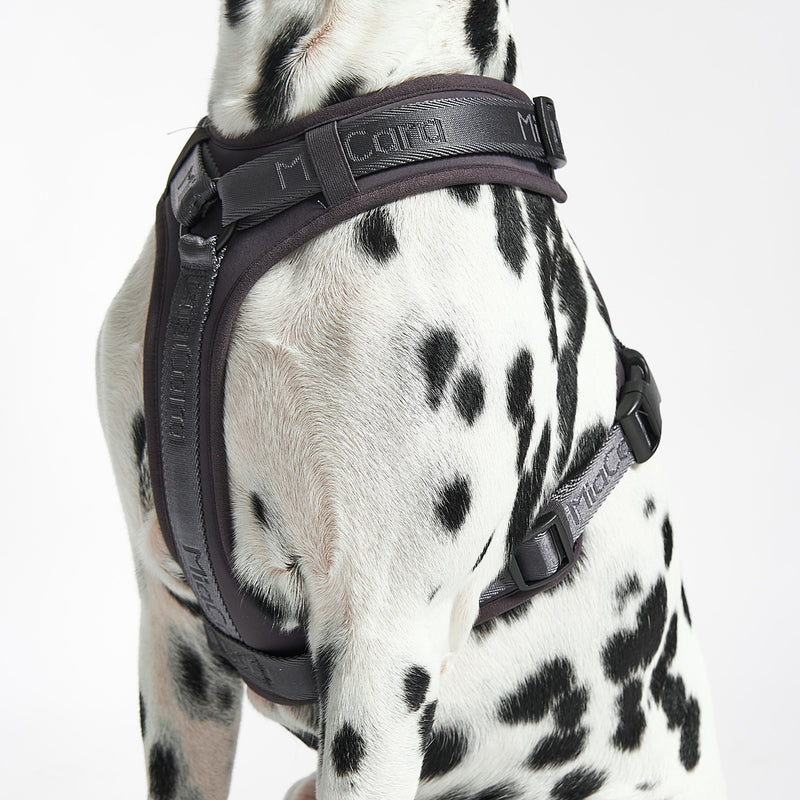 MiaCara - Modena Hundegeschirr