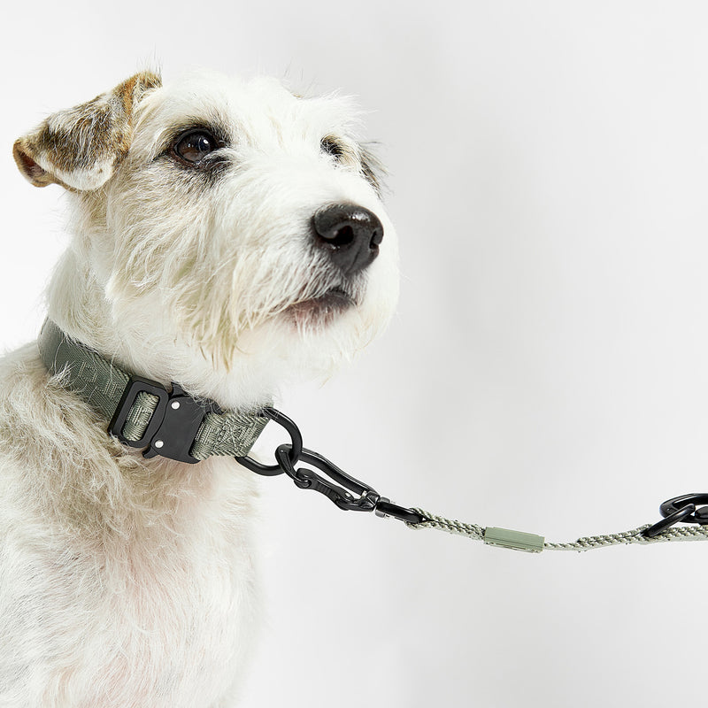 MiaCara - Modena Hundehalsband