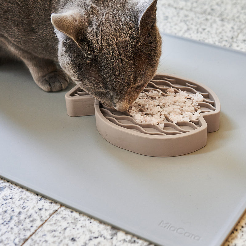 MiaCara - Pesce Beschäftigungsspielzeug für Katzen