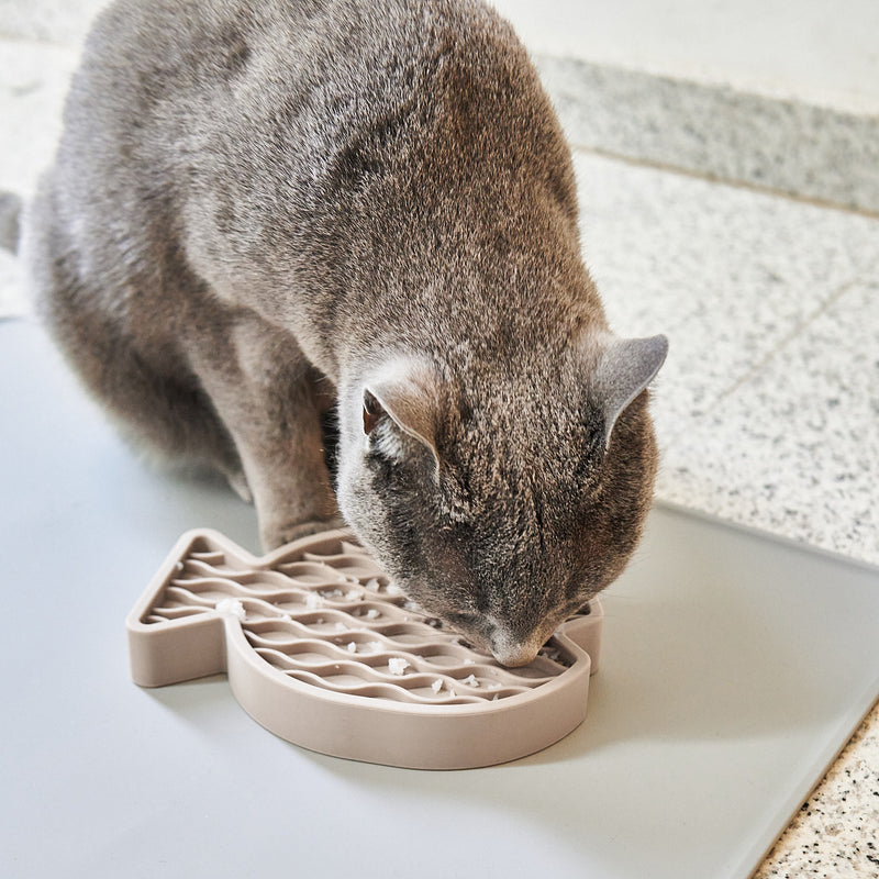 MiaCara - Pesce Beschäftigungsspielzeug für Katzen