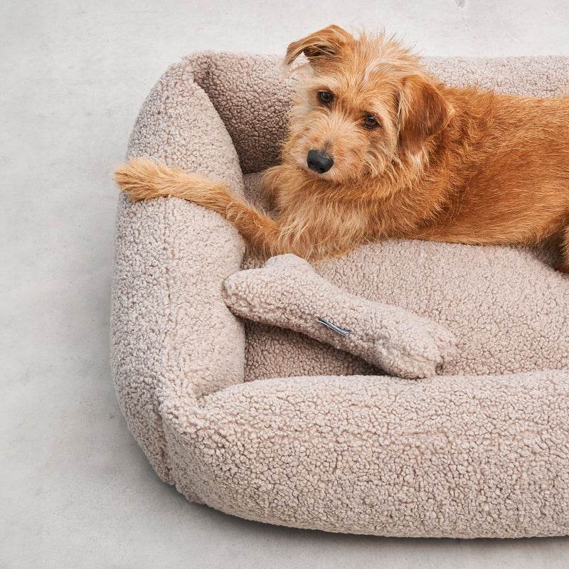 MiaCara - Senso Hundebett