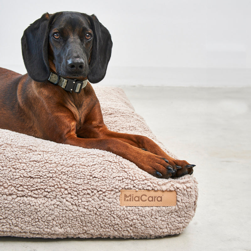 MiaCara - Senso Hundekissen