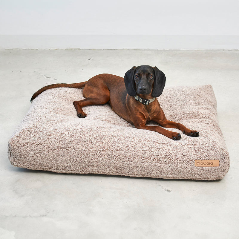 MiaCara - Senso Hundekissen