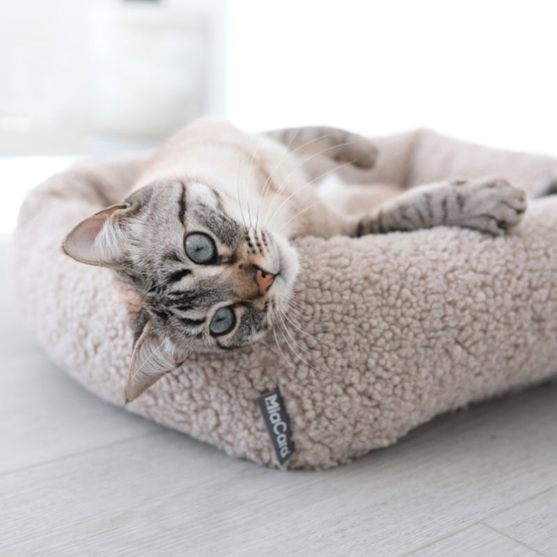 MiaCara - Senso Katzenbett