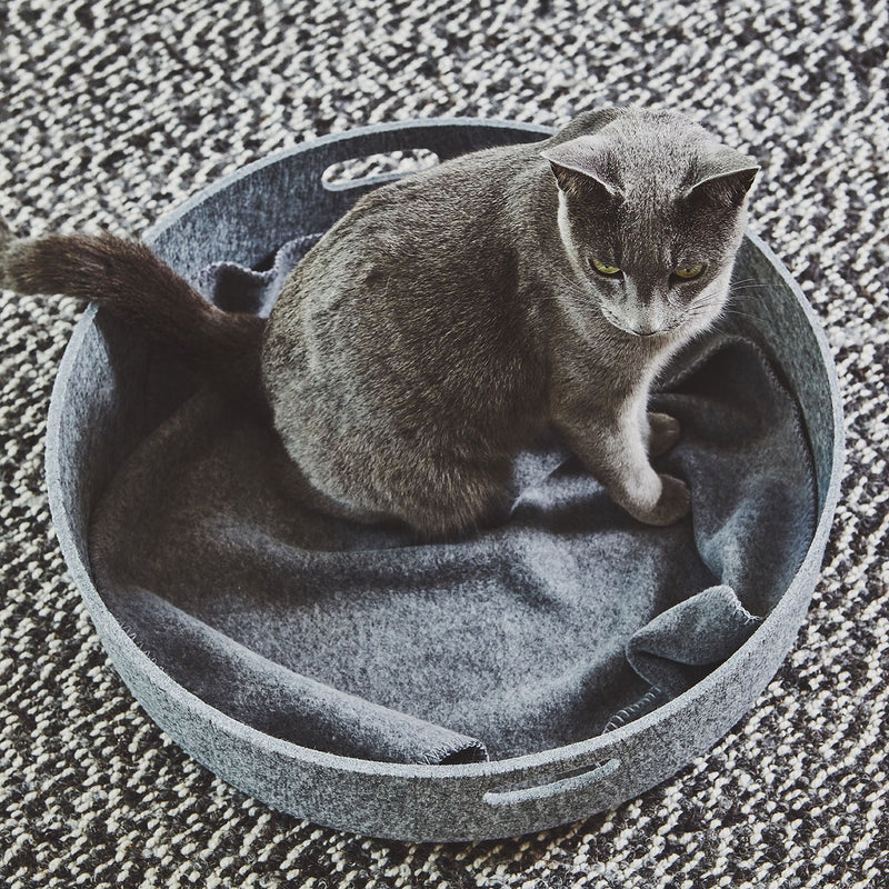 MiaCara - Unica Katzendecke