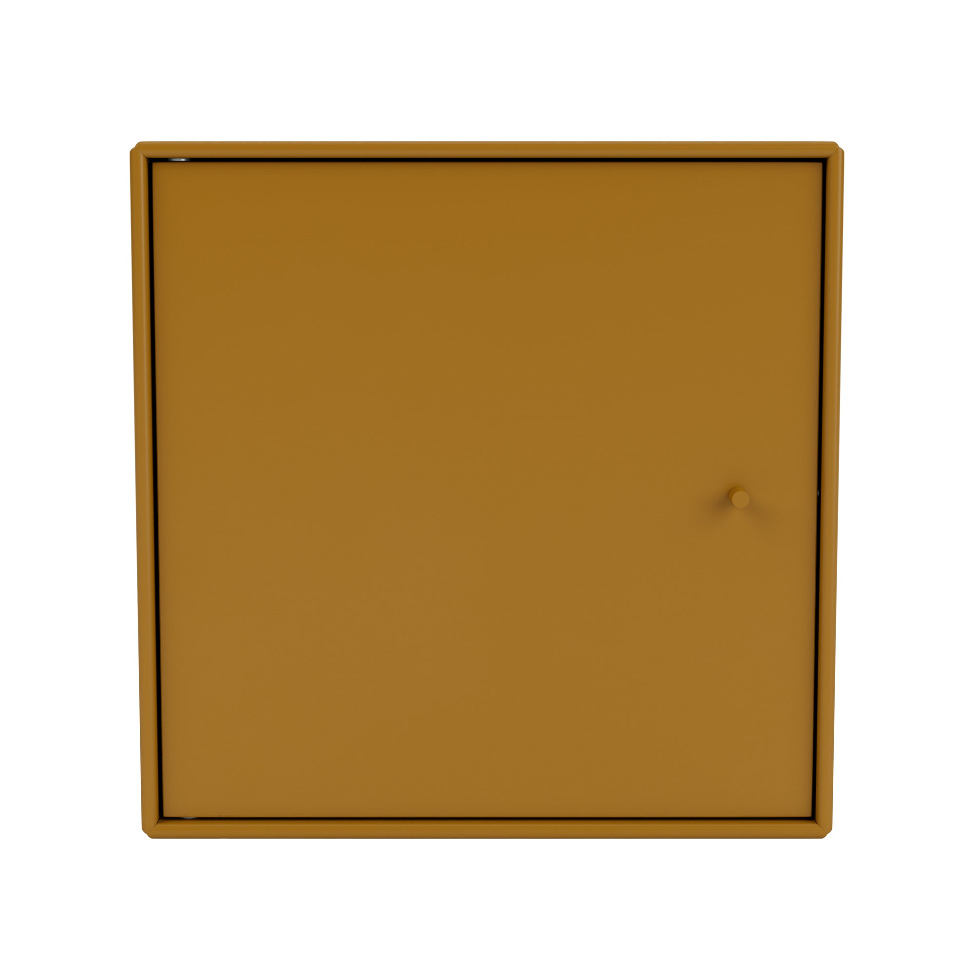 Montana - Mini Regalmodul mit Tür | amber